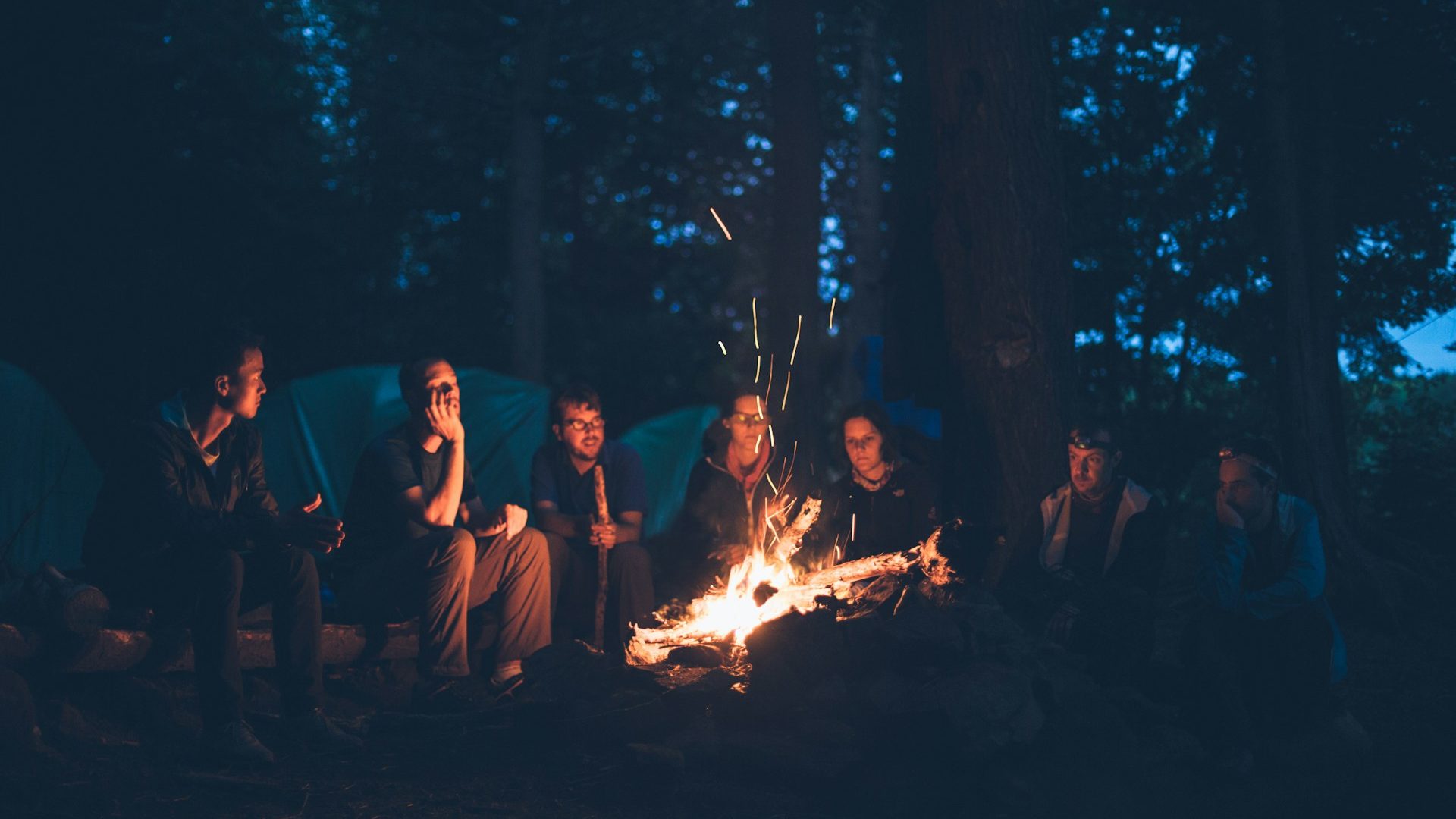 A group of people visible by firelight sat in the woods.